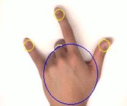 Hand and Fingertip Tracking for Gesture Recognition