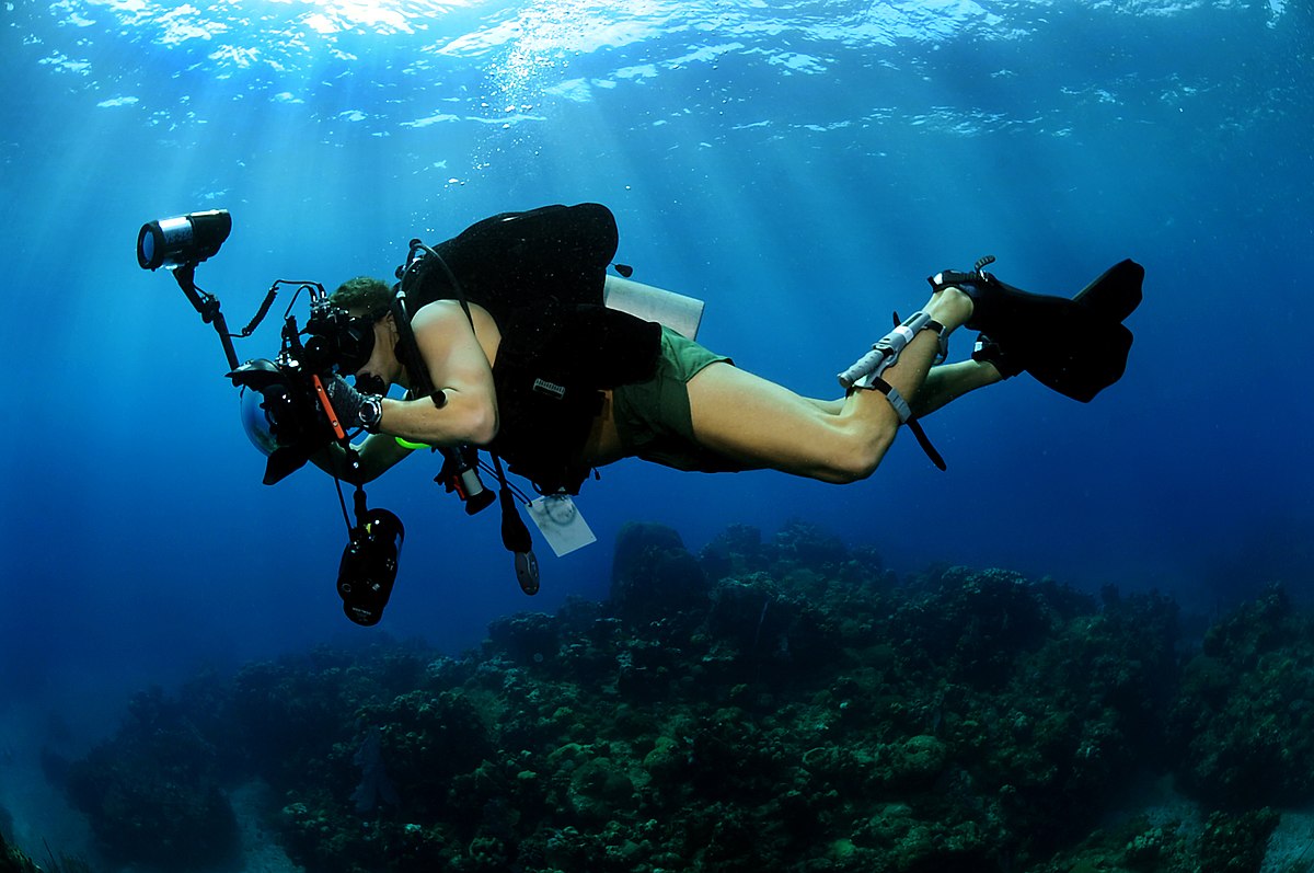 Underwater High Definition Video Camera Platform